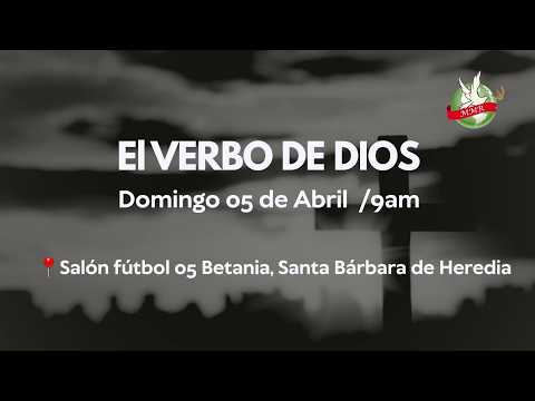 El verbo de Dios
